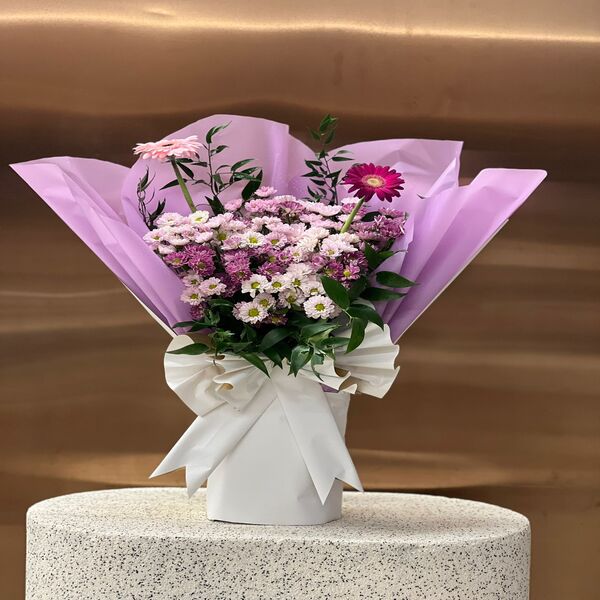 507ec273_WhatsApp Image 2025-10-18 at 18.02.57_44174e0d.jpg